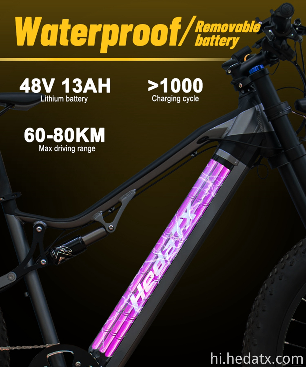 Electric Fat Tire Bike With Battery